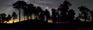 Big Sur Pine Forest view of Milky Way and Mars.